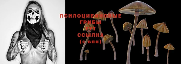 прущий лед Магадан