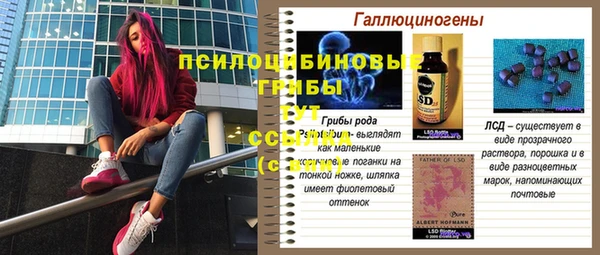 мяу мяу кристалл Архангельск